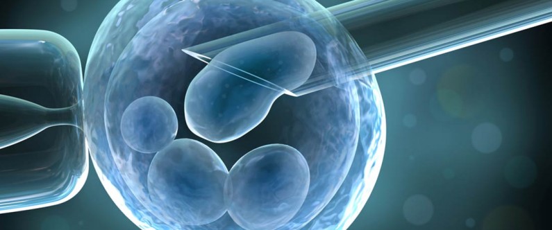 IraQi Journal of Embryos and Infertility Researches (IJEIR)
